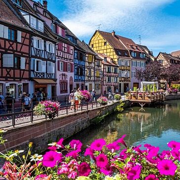 COLMAR