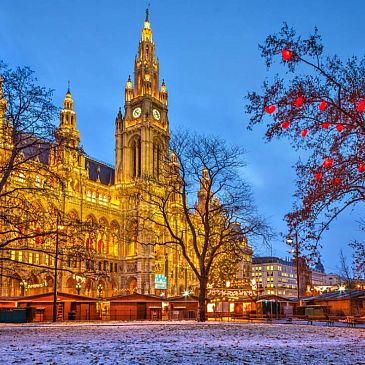VIENNA NATALE