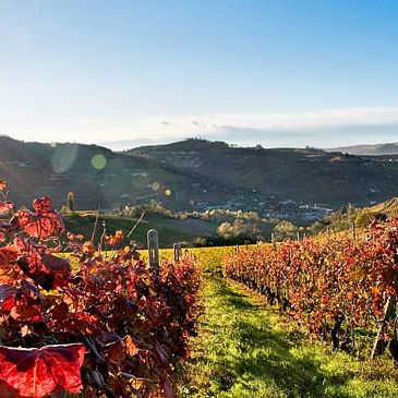 PANORAMA LANGHE