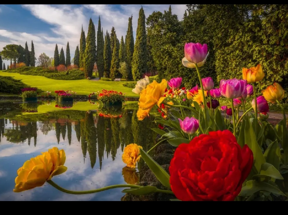 Parco Sigurtà e Valeggio sul Mincio