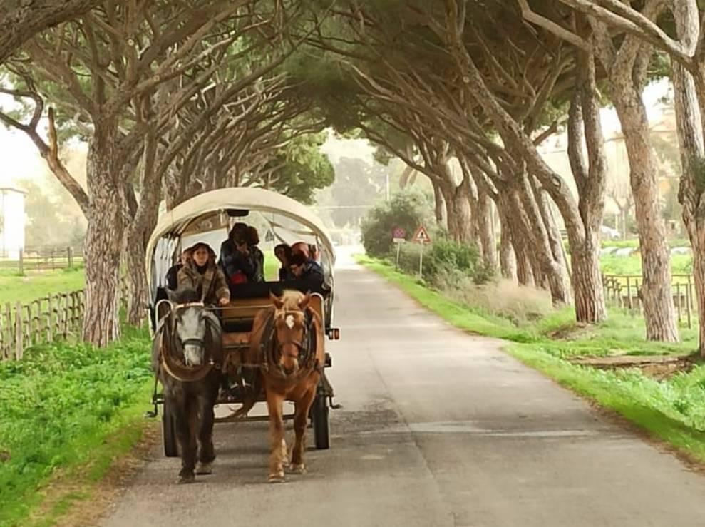  Viaggio : CARROZZA MAREMMA