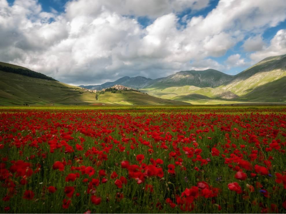 Umbria spettacolare: borghi e fioritura delle lenticchie