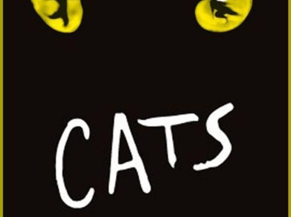  Gita : CATS
